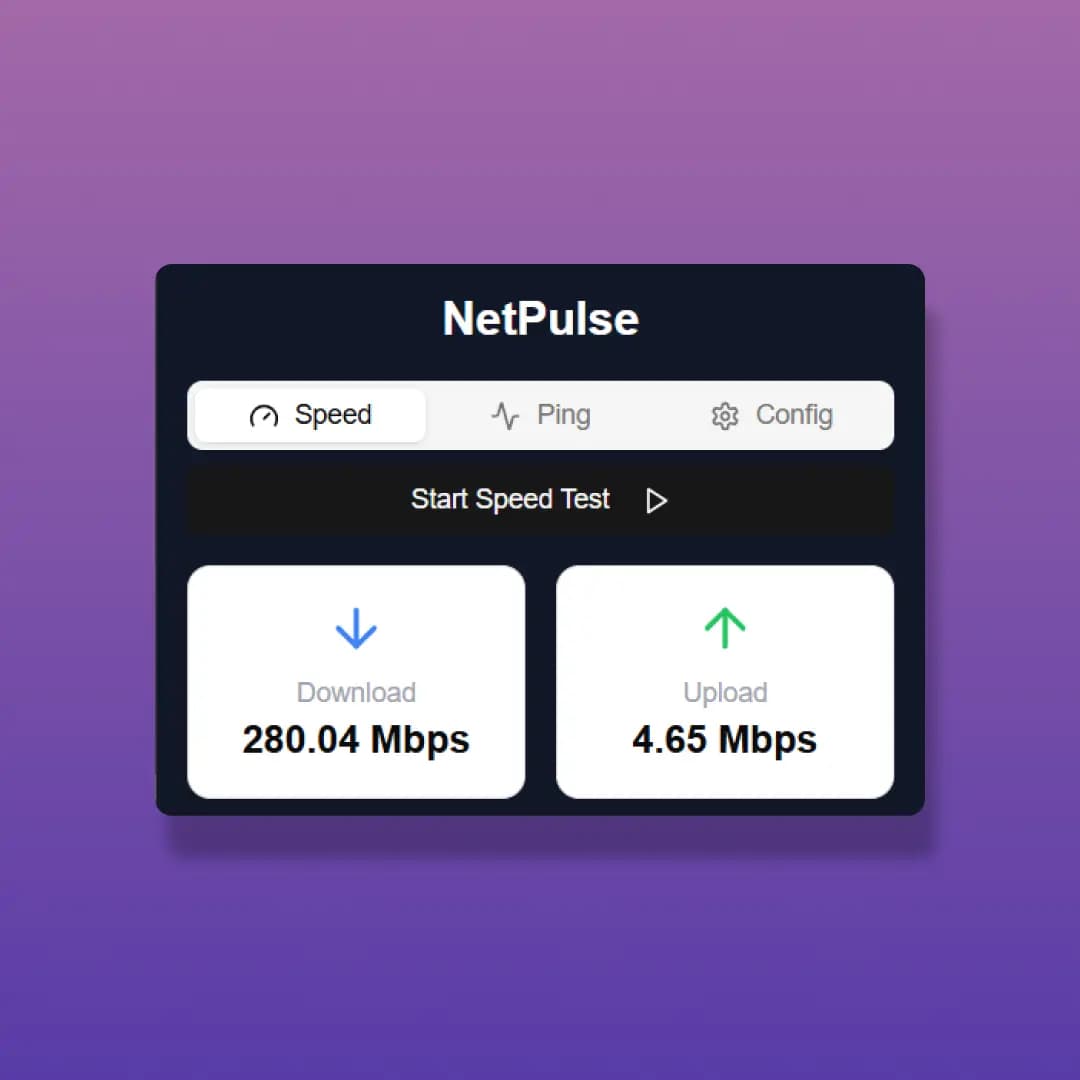 NetPulse project preview